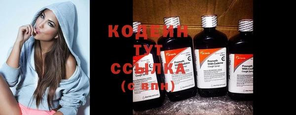 хмурый Лиски