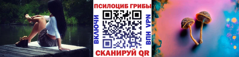 Псилоцибиновые грибы MAGIC MUSHROOMS Почеп